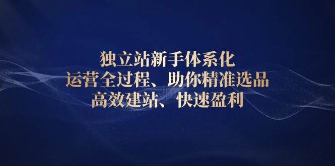 图片[1]-独立站新手体系化 运营全过程，助你精准选品、高效建站、快速盈利-三玖社区