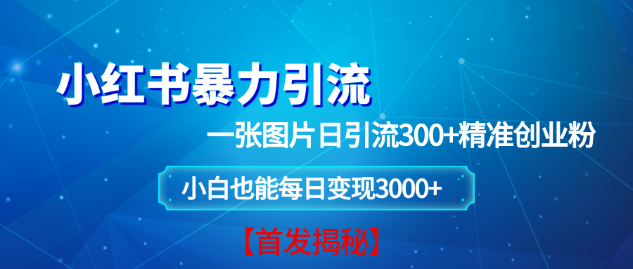 图片[1]-小红书暴力引流法，一张图片日引 300+精准创业粉，每日稳定变现 3000+【揭秘】-三玖社区