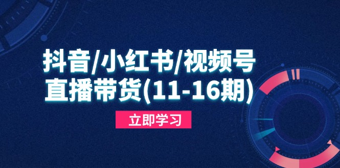 抖音/小红书/视频号/直播带货(11-16期-有量联盟