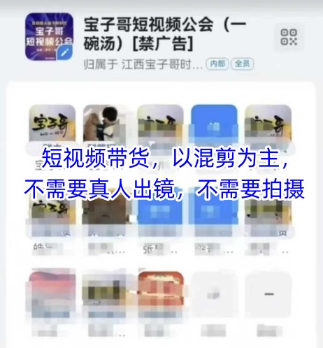 宝子哥头部团队短视频带货,以混剪为主,不需要真人出镜,不需要拍摄【更新26年1月】-百盟网