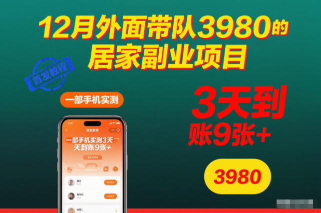 12月外面带队3980的居家副业项目,一部手机实测3天到账9张+,首发教程【揭秘】-百盟网